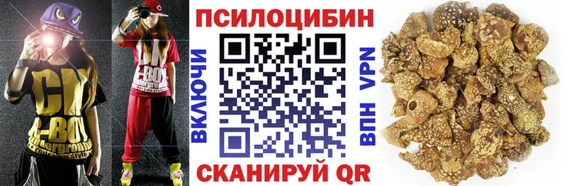 Галлюциногенные грибы MAGIC MUSHROOMS  Заводоуковск 