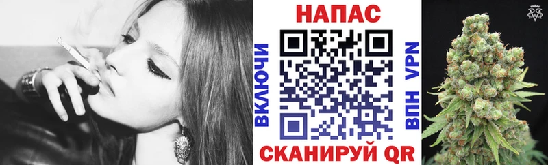 Шишки марихуана THC 21%  hydra как войти  Заводоуковск 
